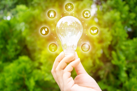 lightbulb